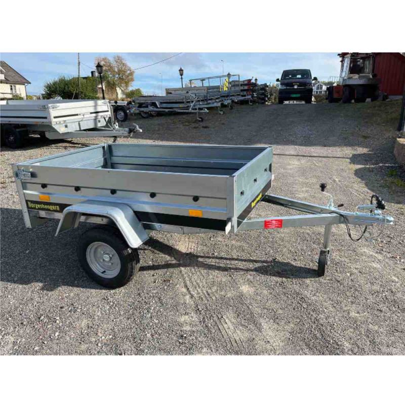 Norgeshengern BF5017 - Varehenger